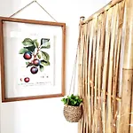 Buganvilia - Near Riverside Portimão