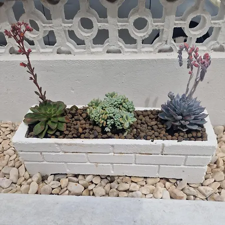 Appartement Buganvilia - Near Riverside Portimão