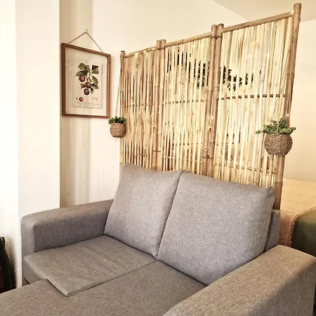 Buganvilia - Near Riverside * بورتيماو